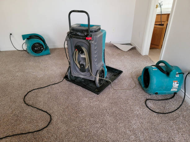 Best Flood damage cleanup  in Richmond, CA