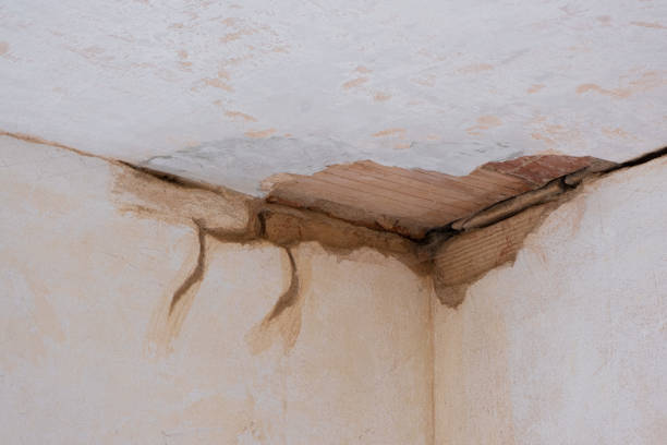 Best Water damage contractors near me  in Richmond, CA