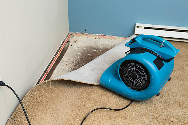 Best Water damage restoration near me  in Richmond, CA